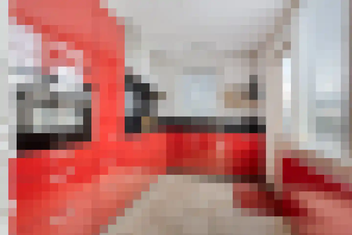 Ridderspoor 13 Borne thumbnail 16