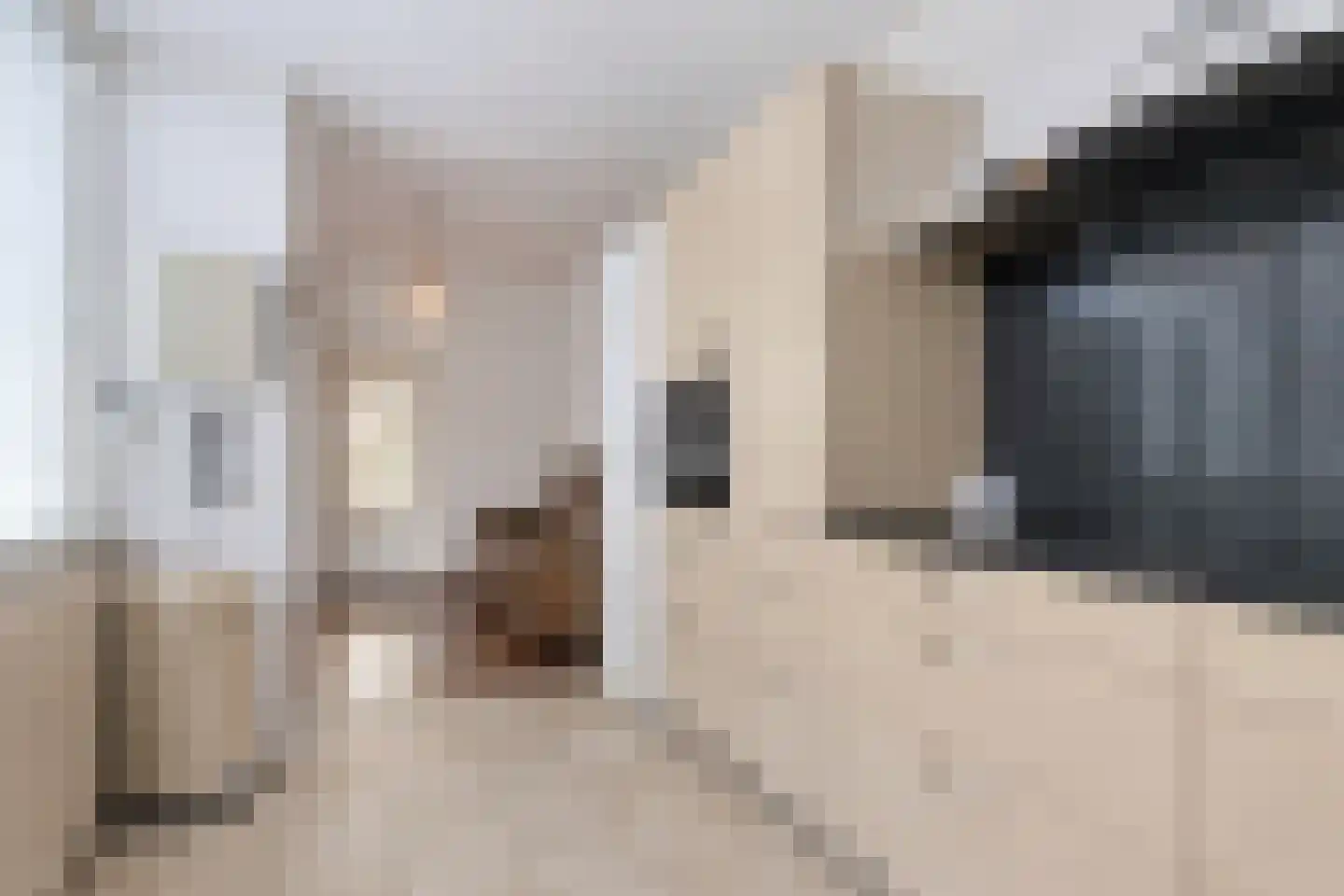 Ridderspoor 13 Borne thumbnail 19