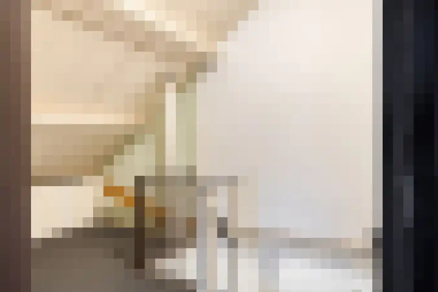 Ridderspoor 13 Borne thumbnail 27