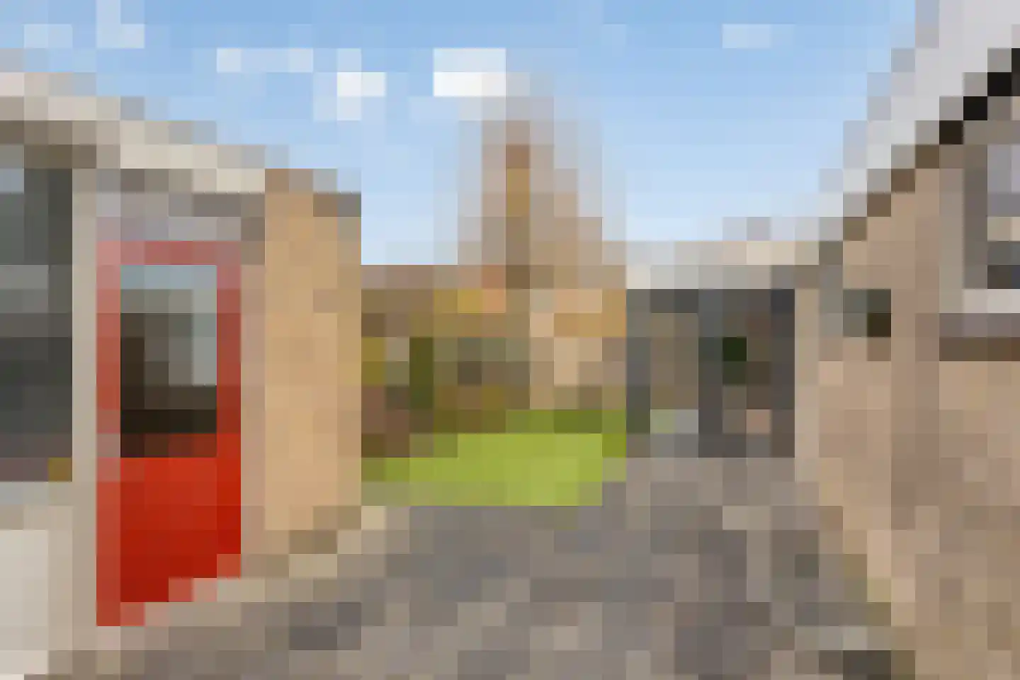 Ridderspoor 13 Borne thumbnail 32