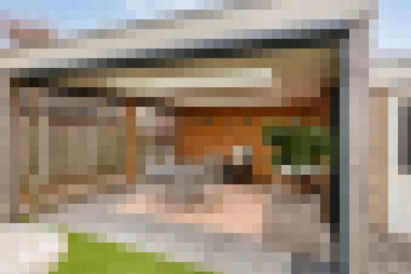 Ridderspoor 13 Borne thumbnail 33