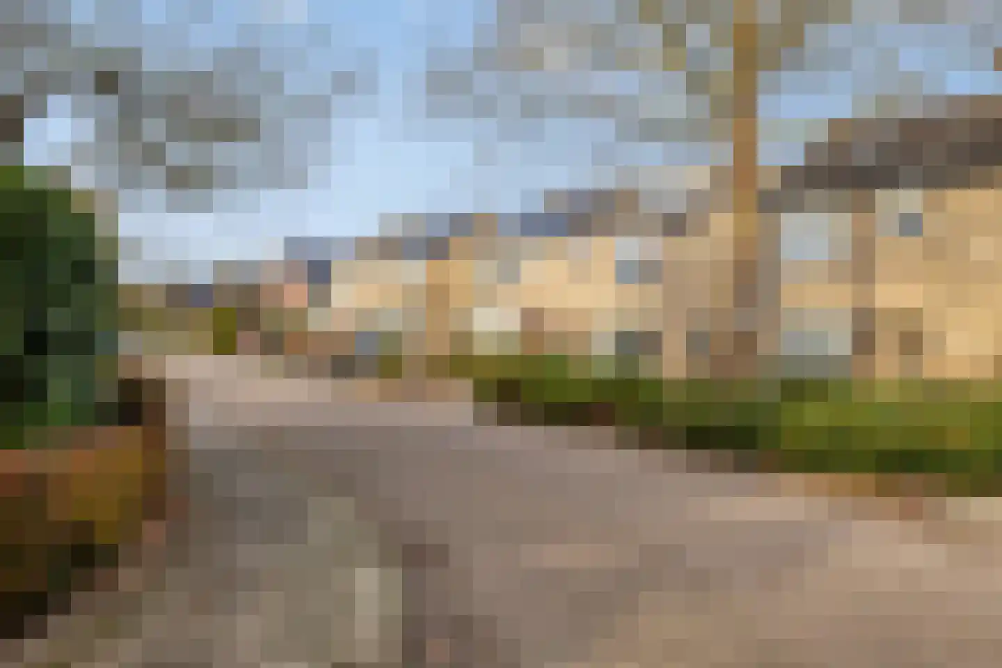 Ridderspoor 13 Borne thumbnail 38