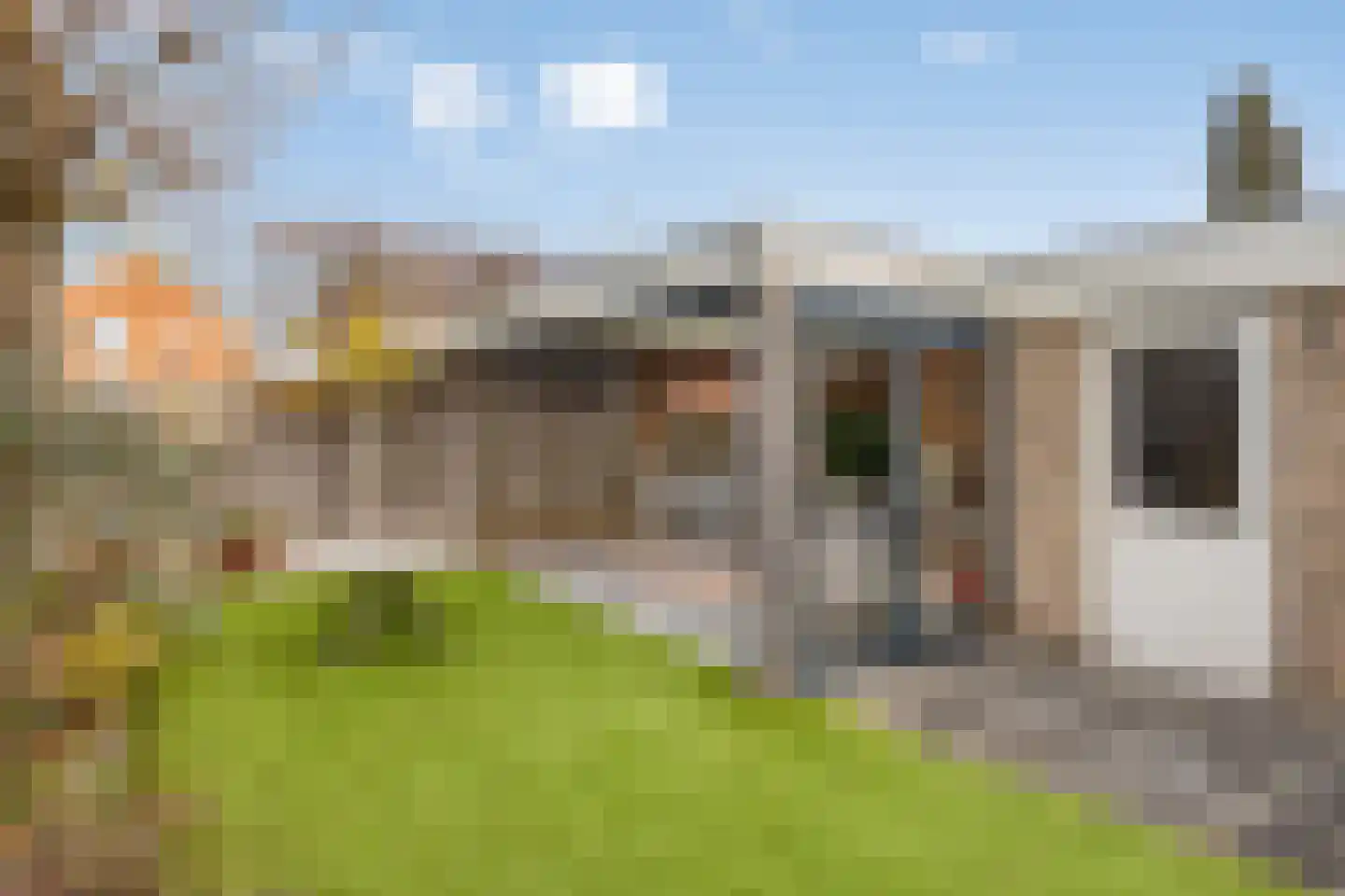 Ridderspoor 13 Borne thumbnail 4
