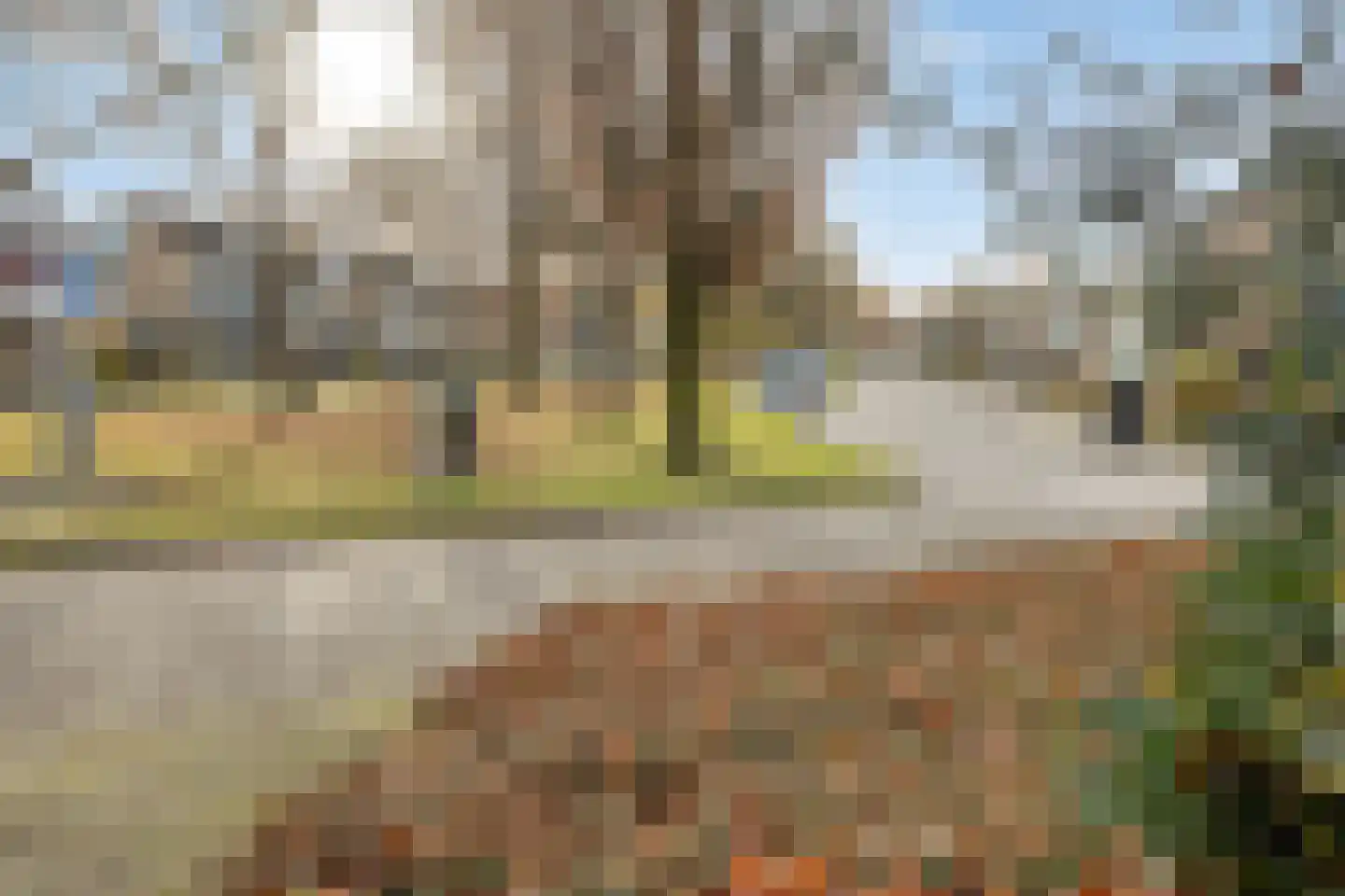 Ridderspoor 13 Borne thumbnail 40
