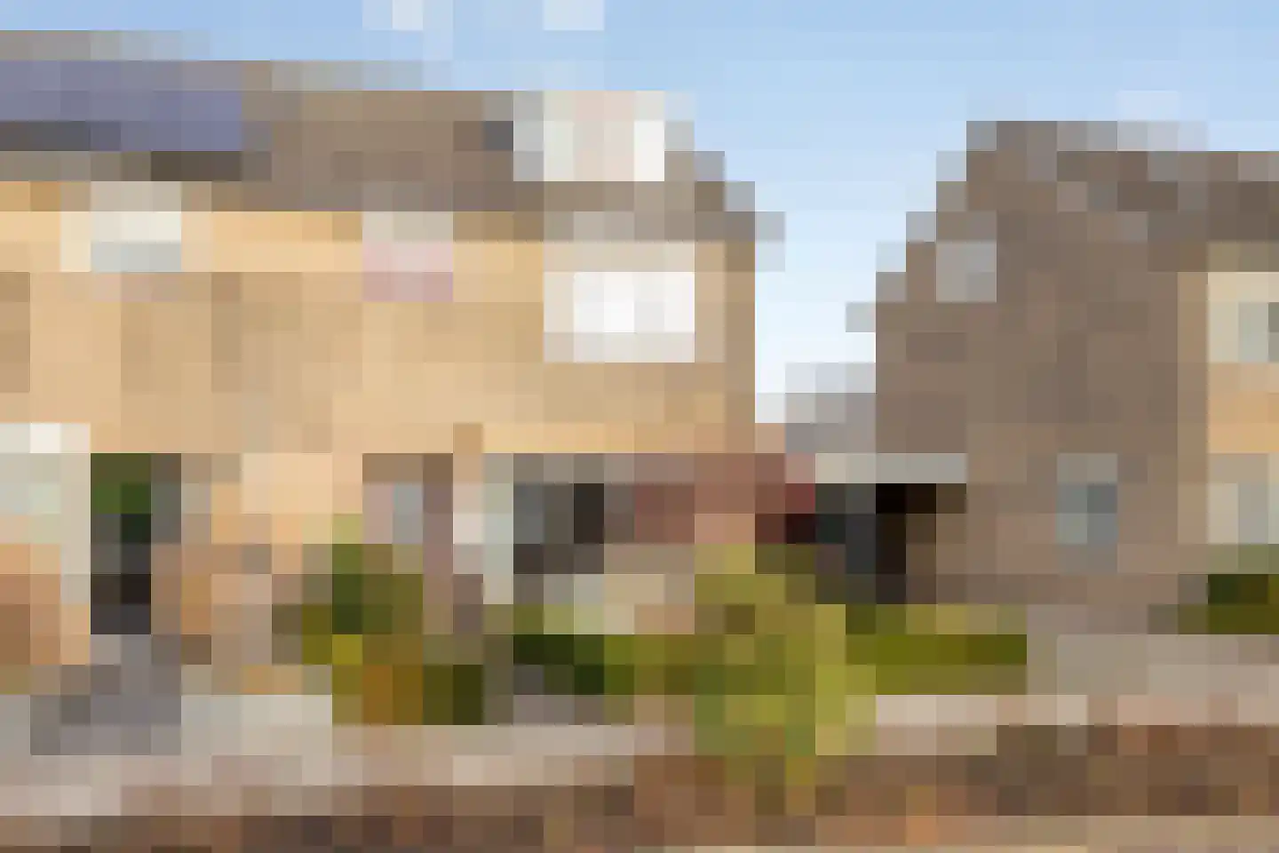 Ridderspoor 13 Borne thumbnail 6