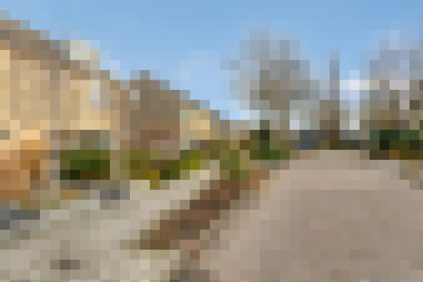 Ridderspoor 13 Borne thumbnail 8
