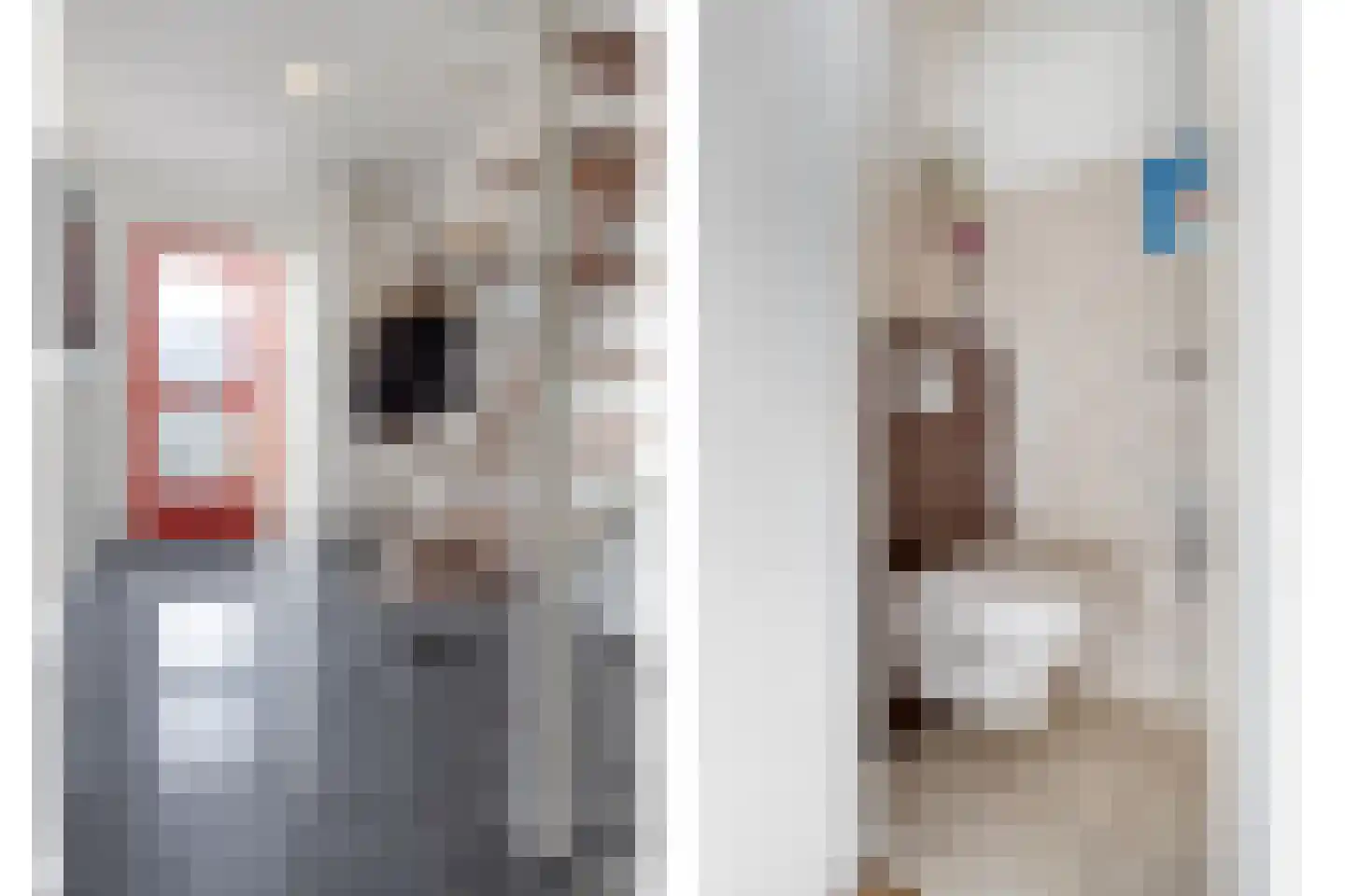 Ridderspoor 13 Borne thumbnail 9