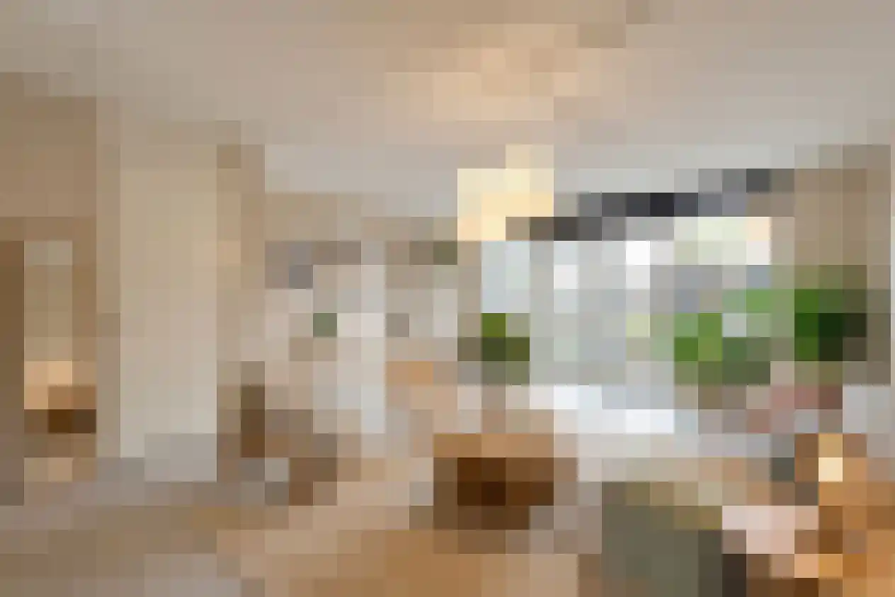 Ridderspoor 16 Haaksbergen thumbnail 13