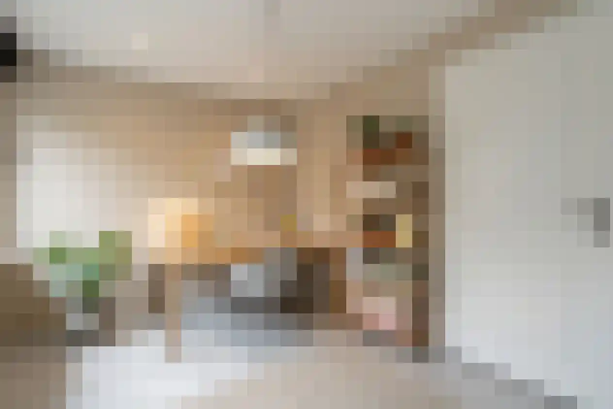 Ridderspoor 16 Haaksbergen thumbnail 23