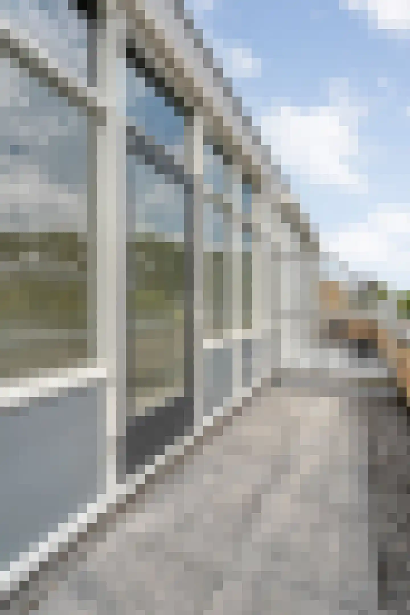Ridderspoor 16 Haaksbergen thumbnail 57