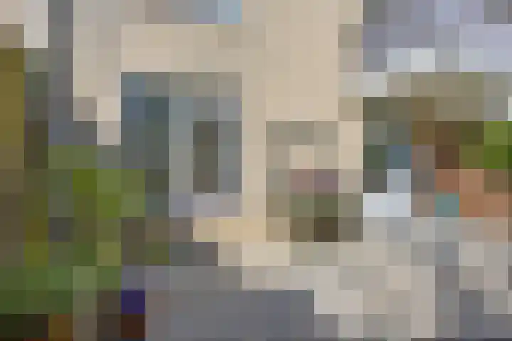 Ridderspoor 24 Nijmegen thumbnail 16
