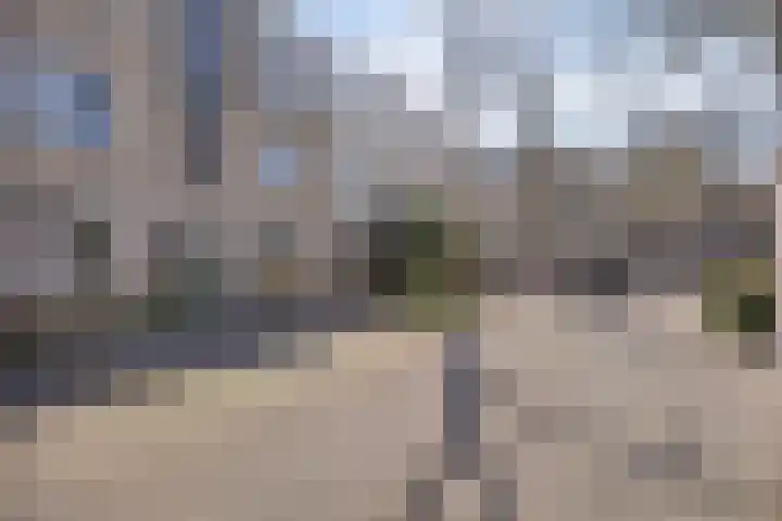 Ridderspoor 24 Nijmegen thumbnail 18