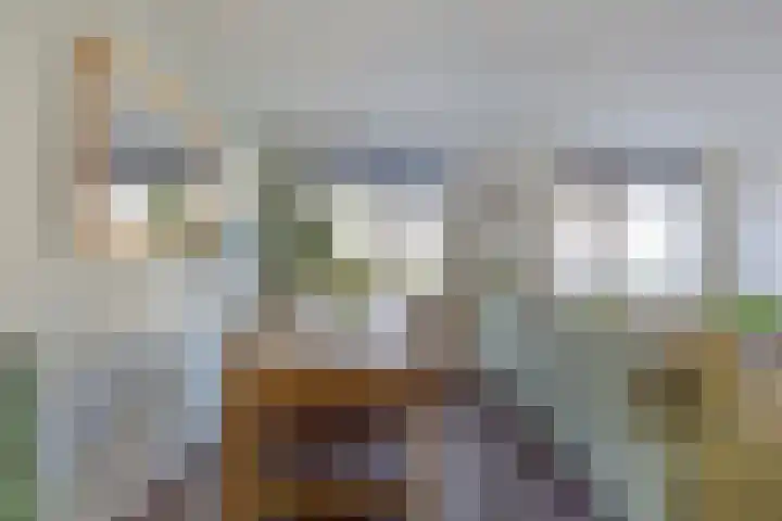 Ridderspoor 24 Nijmegen thumbnail 4