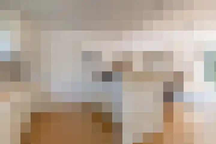 Ridderspoor 26 Hoevelaken thumbnail 12