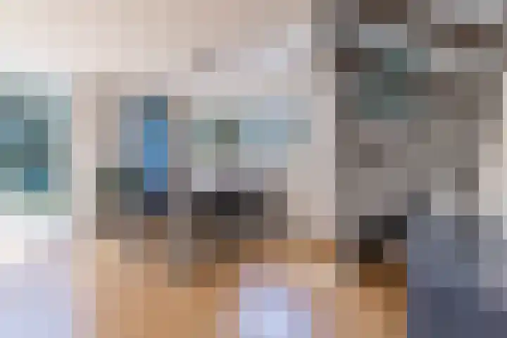 Ridderspoor 26 Hoevelaken thumbnail 21
