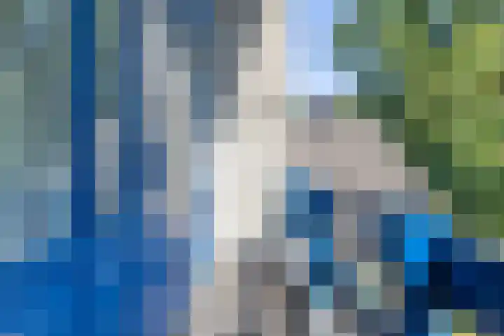Ridderspoor 26 Hoevelaken thumbnail 36