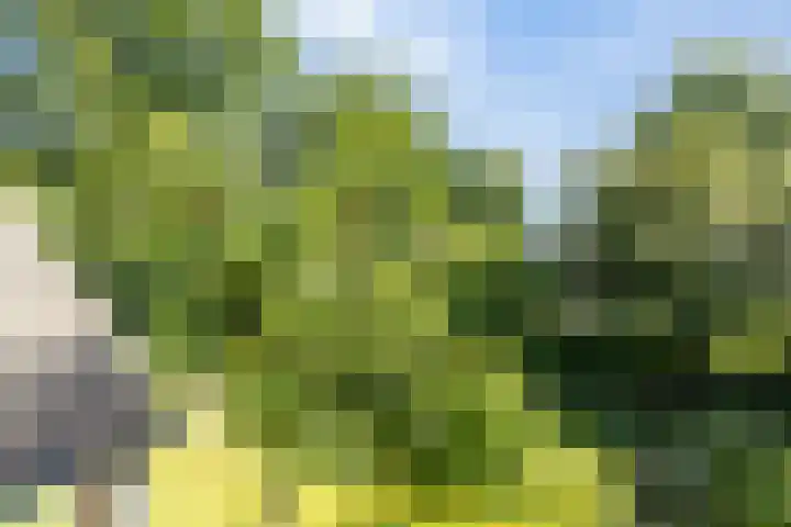 Ridderspoor 26 Hoevelaken thumbnail 38