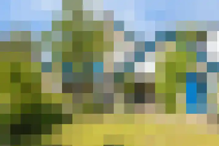 Ridderspoor 26 Hoevelaken thumbnail 42