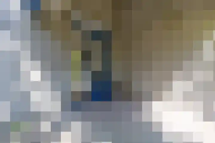 Ridderspoor 26 Hoevelaken thumbnail 43