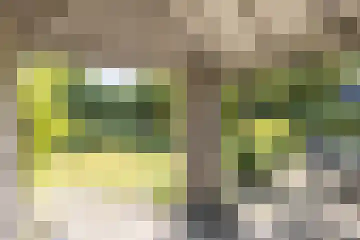 Ridderspoor 26 Hoevelaken thumbnail 44