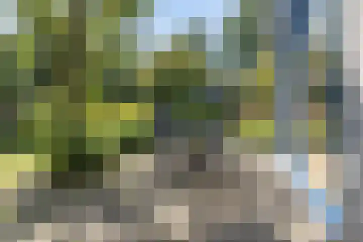 Ridderspoor 26 Hoevelaken thumbnail 46
