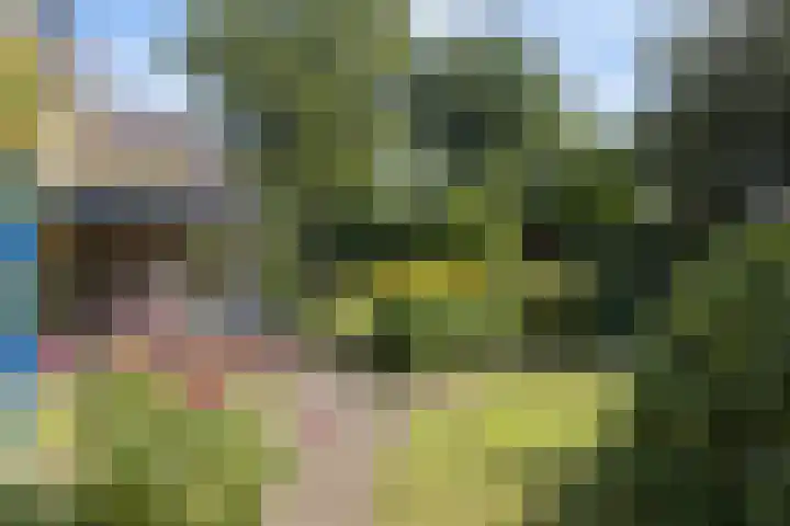 Ridderspoor 26 Hoevelaken thumbnail 47