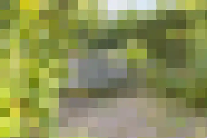 Ridderspoor 26 Hoevelaken thumbnail 48