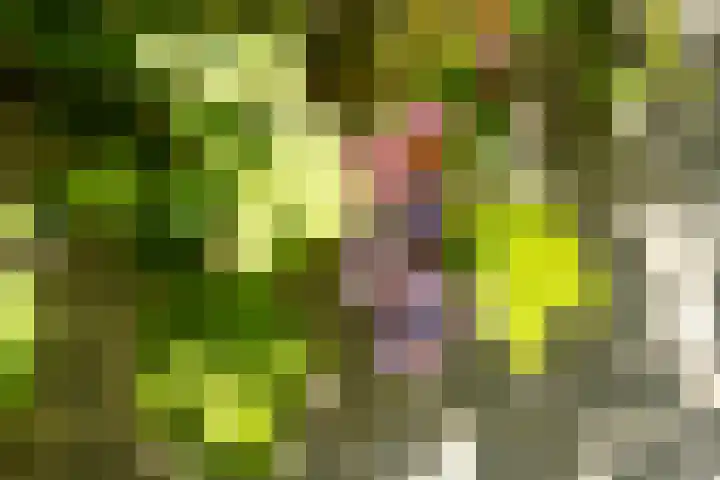 Ridderspoor 26 Hoevelaken thumbnail 50