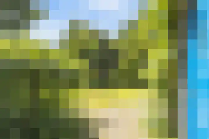 Ridderspoor 26 Hoevelaken thumbnail 51