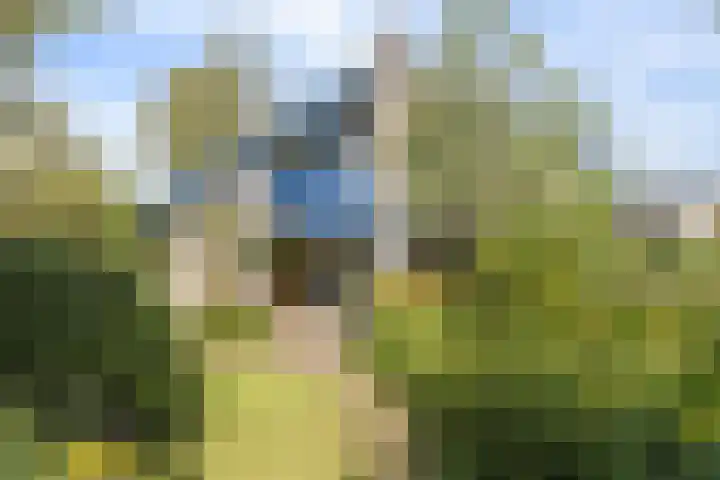 Ridderspoor 26 Hoevelaken thumbnail 52