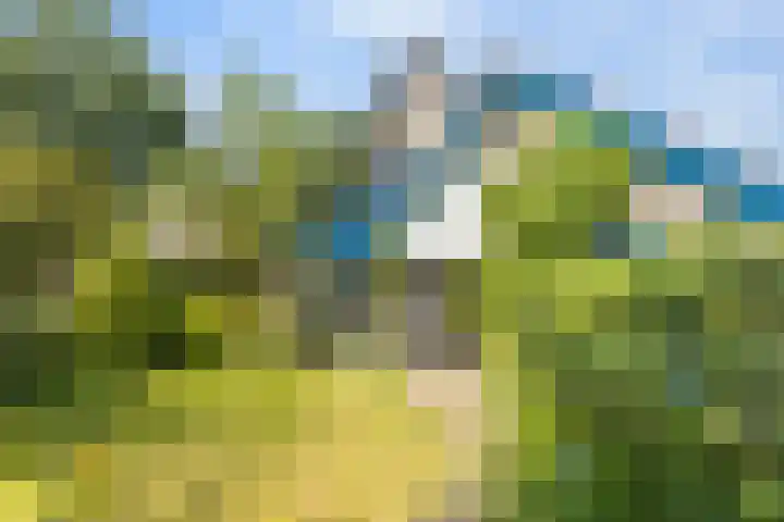 Ridderspoor 26 Hoevelaken thumbnail 53
