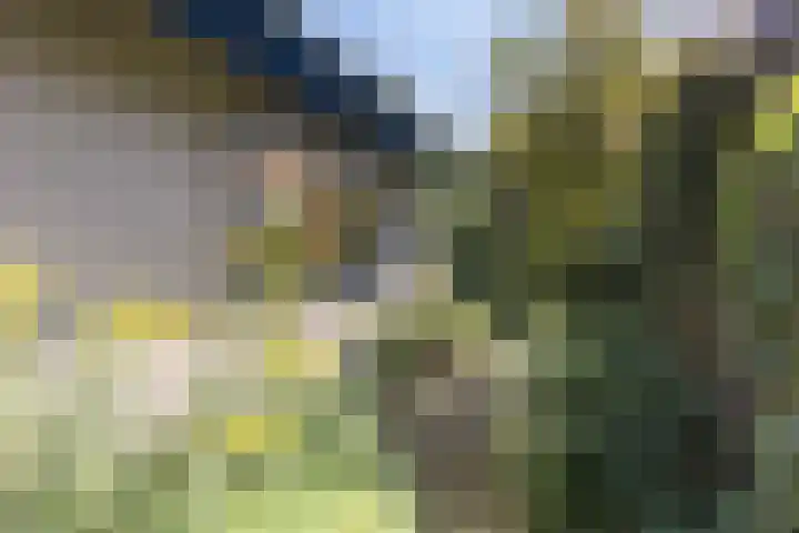 Ridderspoor 26 Hoevelaken thumbnail 54