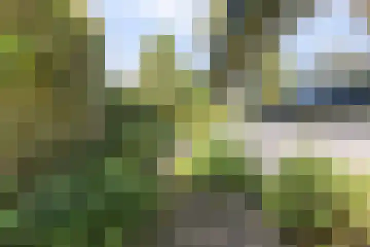 Ridderspoor 26 Hoevelaken thumbnail 55