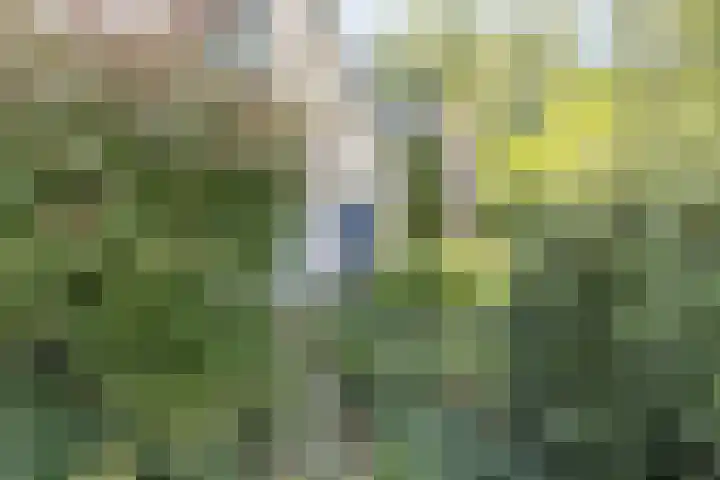 Ridderspoor 26 Hoevelaken thumbnail 56