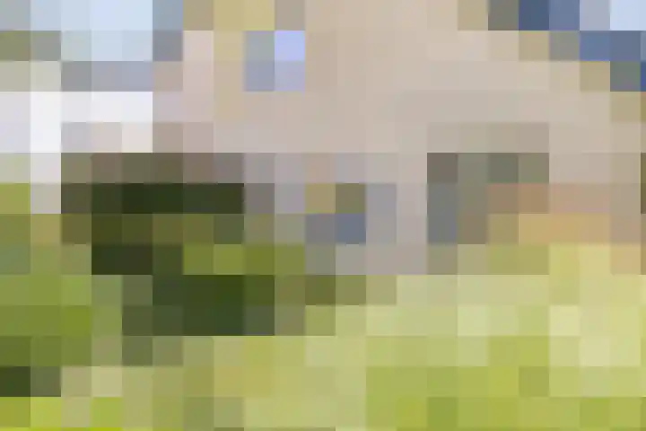 Ridderspoor 26 Hoevelaken thumbnail 57
