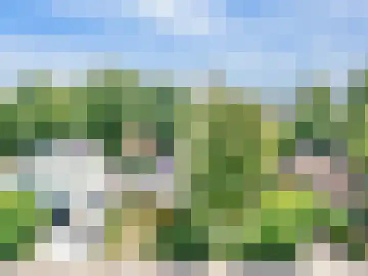 Ridderspoor 26 Hoevelaken thumbnail 58