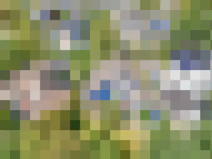 Ridderspoor 26 Hoevelaken thumbnail 59