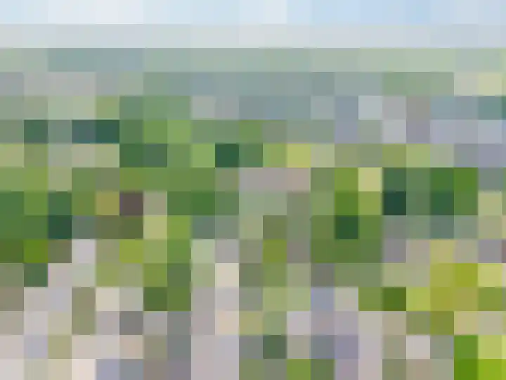 Ridderspoor 26 Hoevelaken thumbnail 60