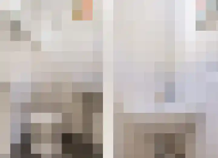 Ridderspoor 26 Hoevelaken thumbnail 8