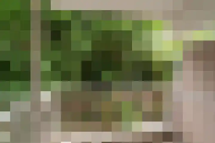 Ridderspoor 26 Nijmegen thumbnail 10
