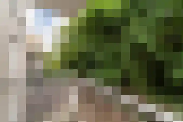 Ridderspoor 26 Nijmegen thumbnail 11