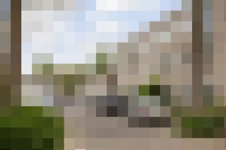 Ridderspoor 26 Nijmegen thumbnail 19