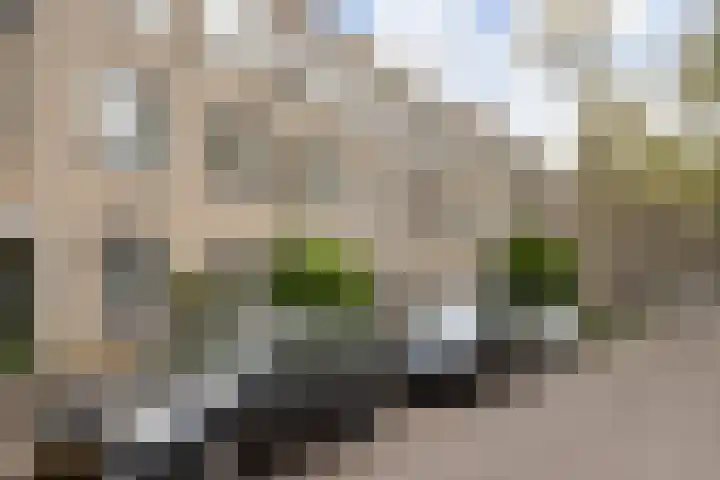 Ridderspoor 26 Nijmegen thumbnail 21