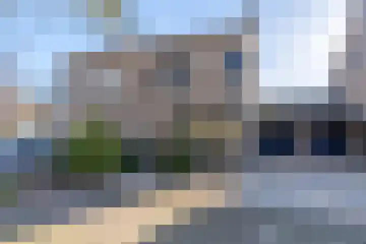 Ridderspoor 3 in Venray