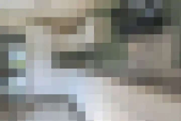 Ridderspoor 3 Hoevelaken thumbnail 12