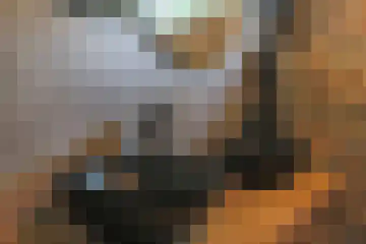Ridderspoor 3 Hoevelaken thumbnail 21