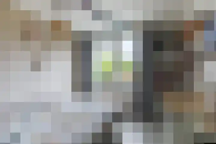 Ridderspoor 3 Hoevelaken thumbnail 24