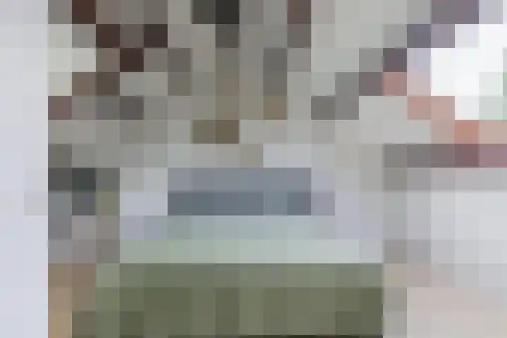 Ridderspoor 3 Hoevelaken thumbnail 29