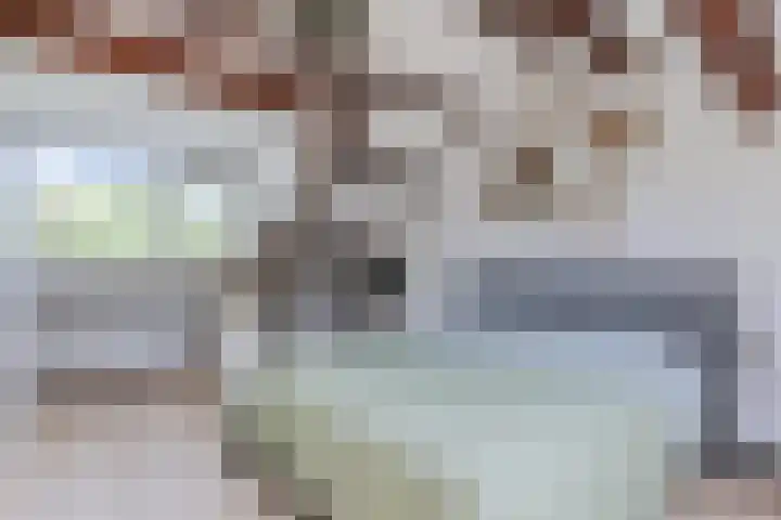 Ridderspoor 3 Hoevelaken thumbnail 30