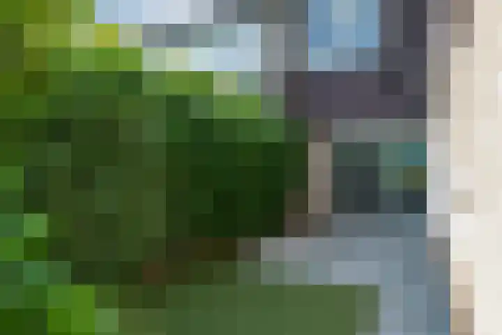 Ridderspoor 3 Hoevelaken thumbnail 32